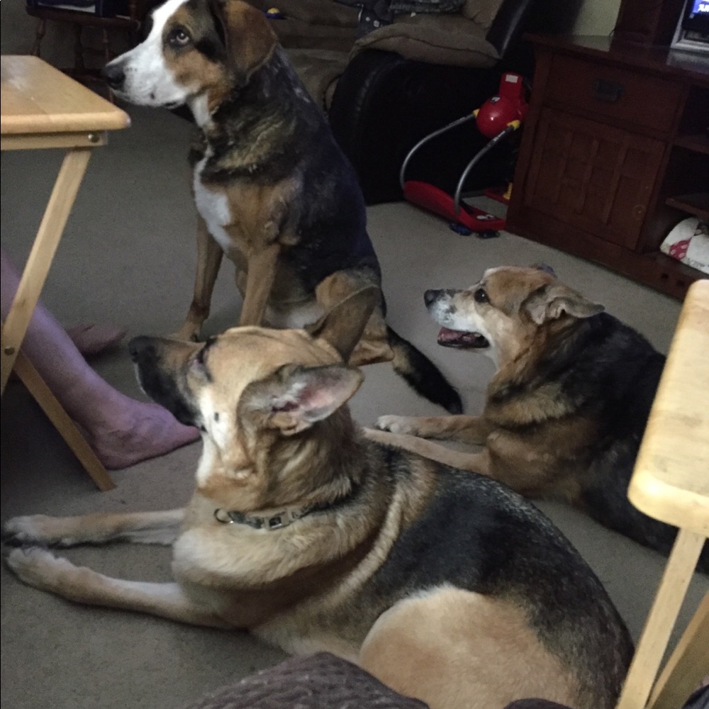 Meet your Posher, Megan